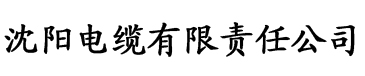 小雷和胡秀英电缆厂logo